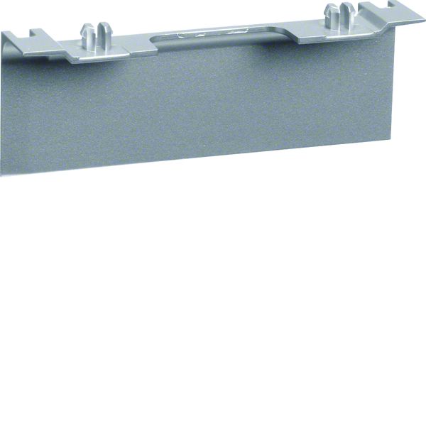 Hager 20x80mm Dekor Aluminium Geräteträgerschürze für Geräteträger universal design SL SL20080ACD1