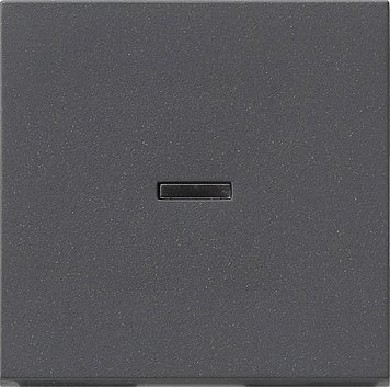 Gira 091428 Wippe Tast-Kontrollschalter System 55 Anthrazit
