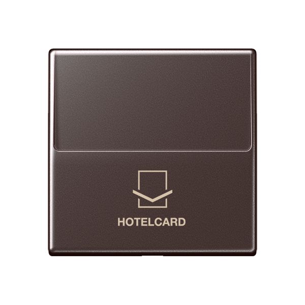 Jung A 590 CARD MO Hotelcard-Schalter ohne Schalter-Einsatz für Einsätze 533 U und 534 U