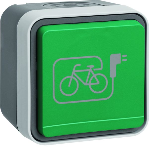 Berker 47403533 Aufputzsteckdose mit grünem Klappdeckel und Symbol E-Bike AP W.1 grau. Aufput